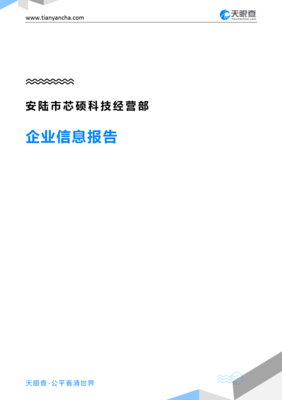 安陸市芯碩科技經營部企業信息報告-天眼查
